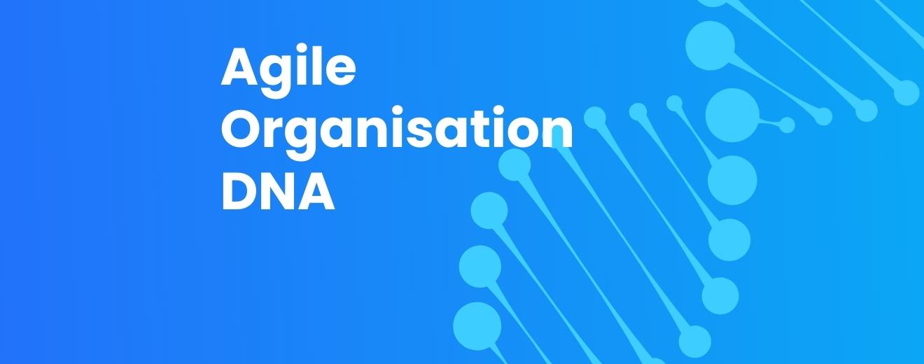 Agile organisation DNA